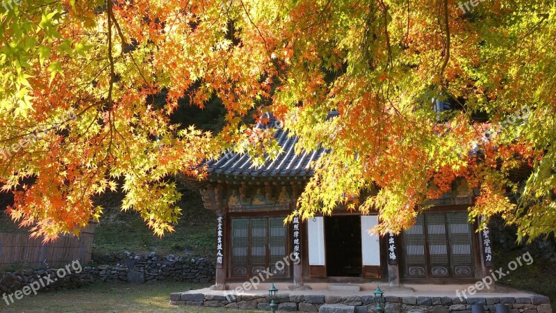 Autumn Magoksa Nature Traditional Architecture Korea