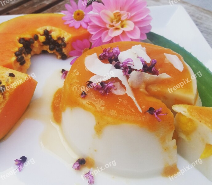 Panacotta Vegan Dessert Tropical Summer