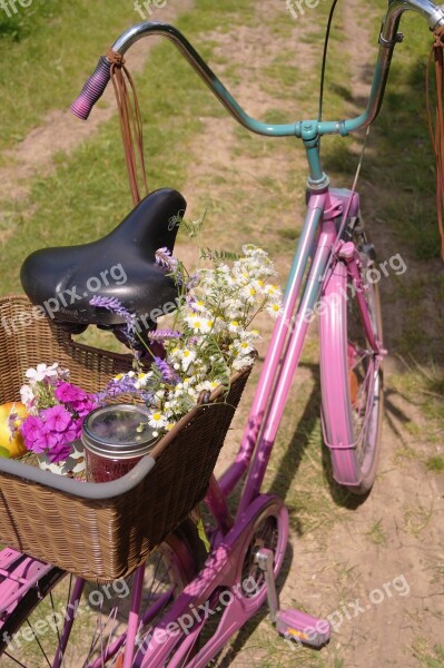 Bike Picnic Bonanza Bicycle Basket Fransen