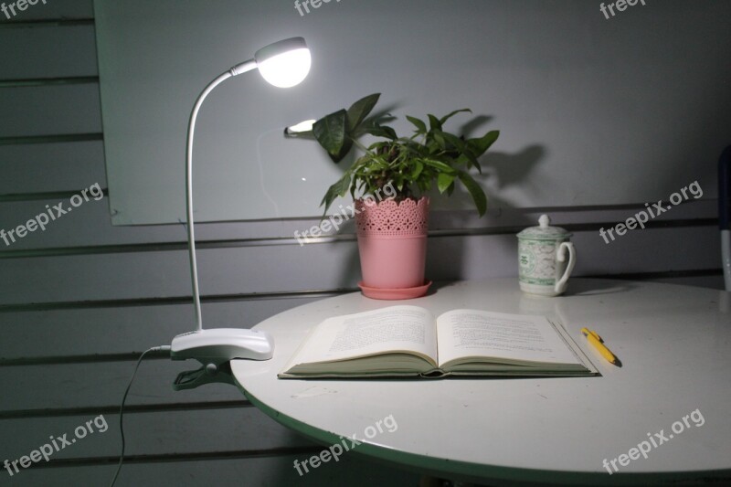 Table Lamp Nightlight Learning Open The Book Reed