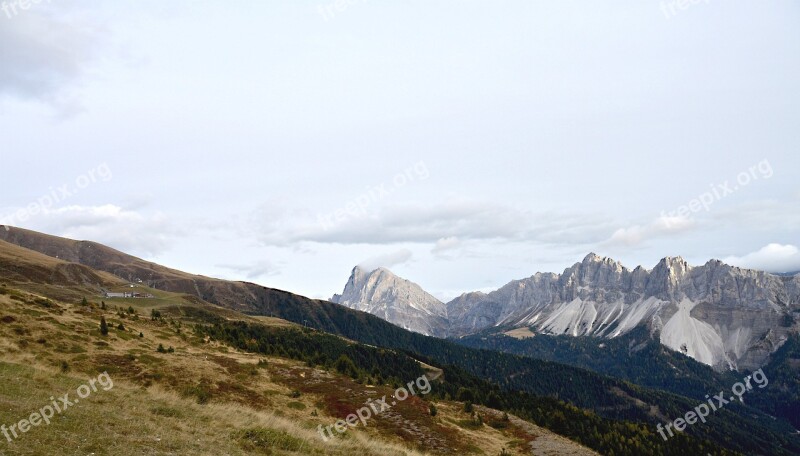 All Mountains Dolomites Reported Trees