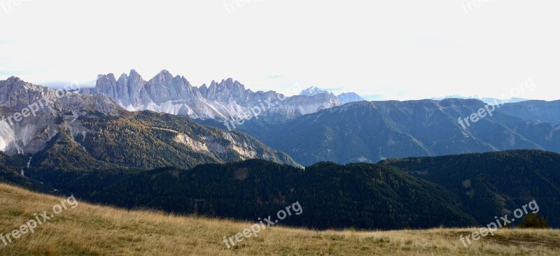 Alpine Mountains Dolomites Rock Trees