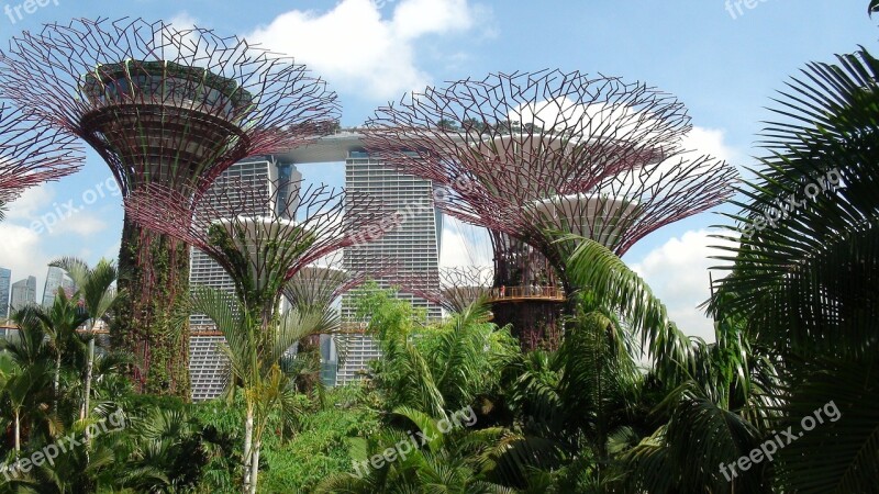 Singapore Landmark Garden Free Photos