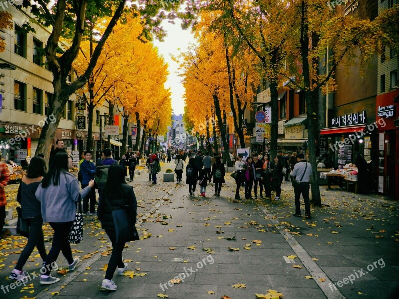 Autumn Bank Insa Dong Republic Of Korea Street