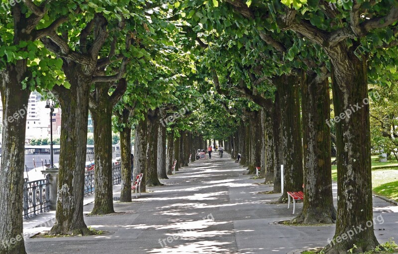 Lugano Lake Promenade Avenue Ticino Switzerland