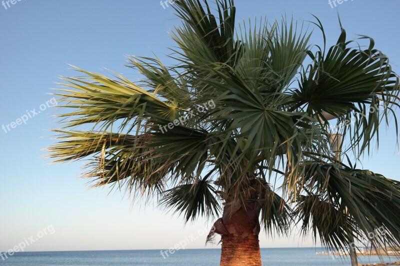 Palma View Landscape Holiday Holidays