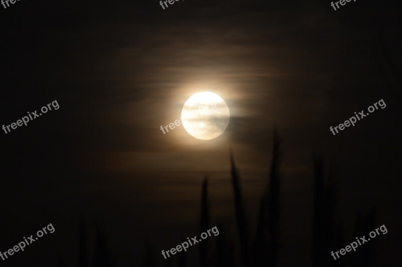 Moon Night Night Landscape Free Photos