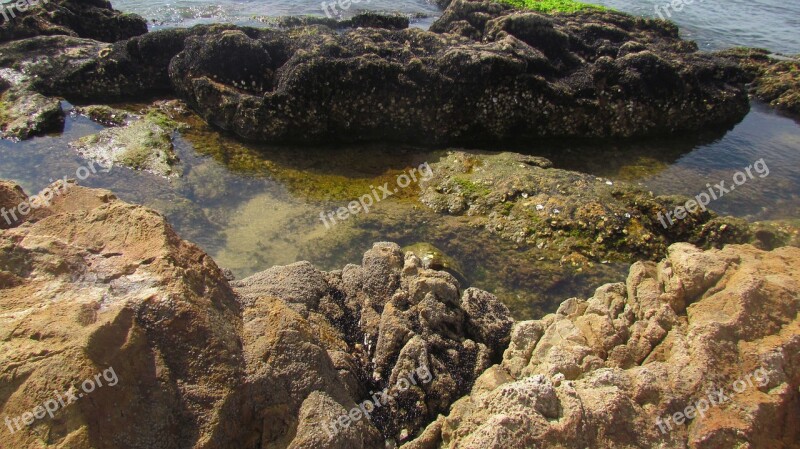 Rock Santa Catarina Beach Boat Fishing