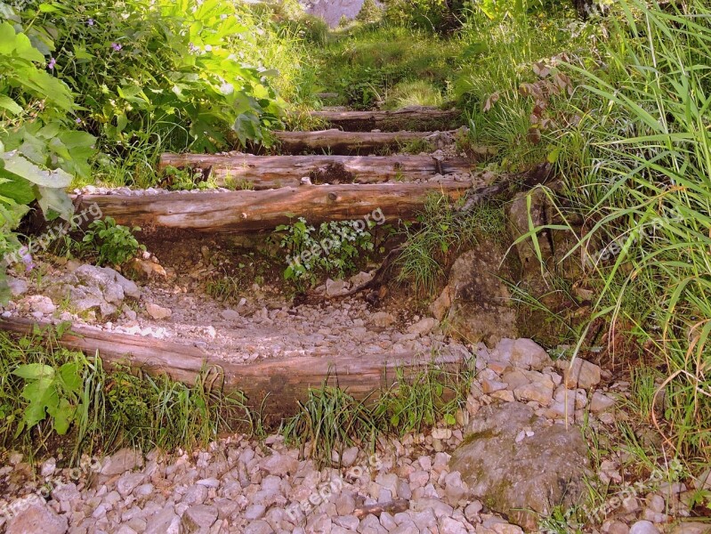 Scale Trail Green Nature Mountain