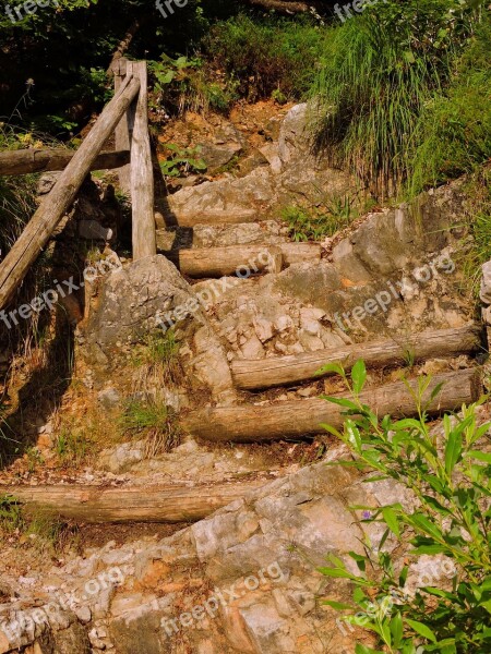 Staircase Trail Wood Sassi Hiking