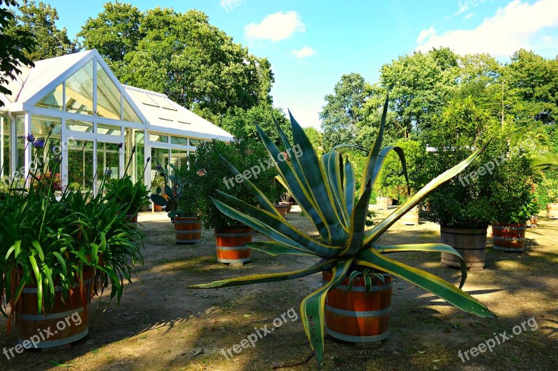 Garden Orangery Greenhouse Conservatory Glasshouse