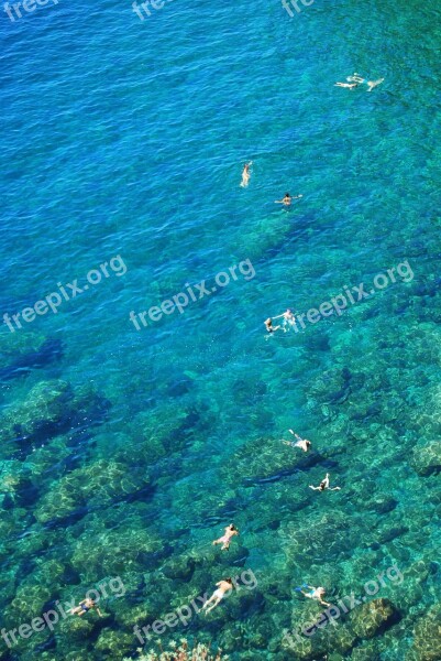 Bathers Water Transparent Clear Summer