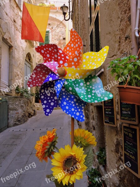 Colors Pinwheel Sunflowers Colorful Pinwheels Road