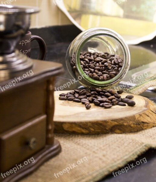 Coffee Seed Coffee Seeds Brown Cappuccino