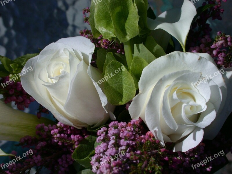 Roses Vase White Roses White Decoration