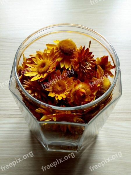 Glass Dried Flowers Colorful Flowers Orange