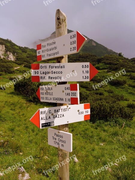 Crossroads Trail Cartel Signal Arrows