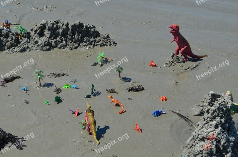 Florida Florida Beach Sand Toys Water