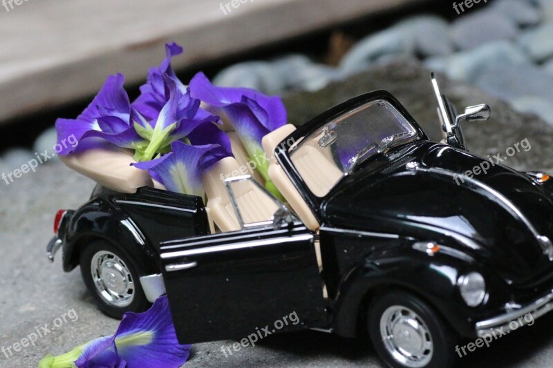 Model Car Flower Decoration Free Photos