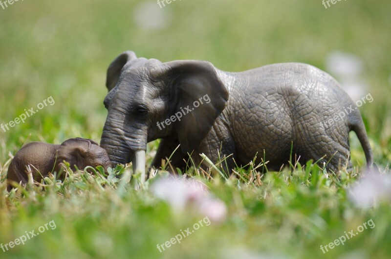 Elephants Toys Grass Elephant Free Photos