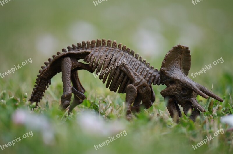 Dinosaur Bones Herbivore Toy Grass