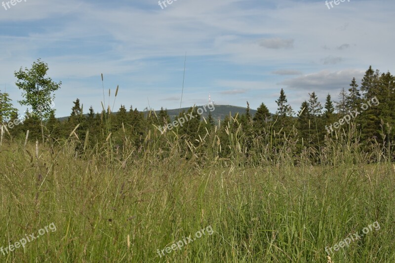 Torfhaus Lower Saxony Meadow Landscape Sky