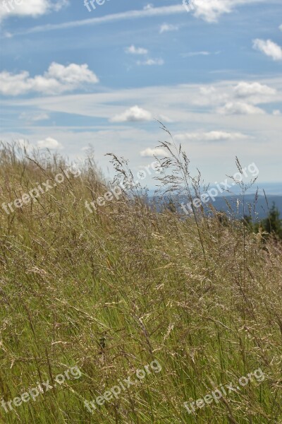 Landscape Mountains Highlands Braunlage Worm Mountain