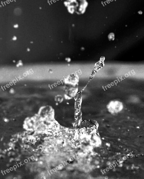 Splash Water Drop Droplet Ripple