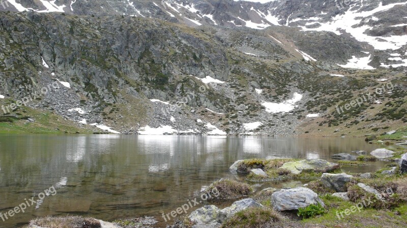 Andorra Flowers Mountains Holiday Pyrenees