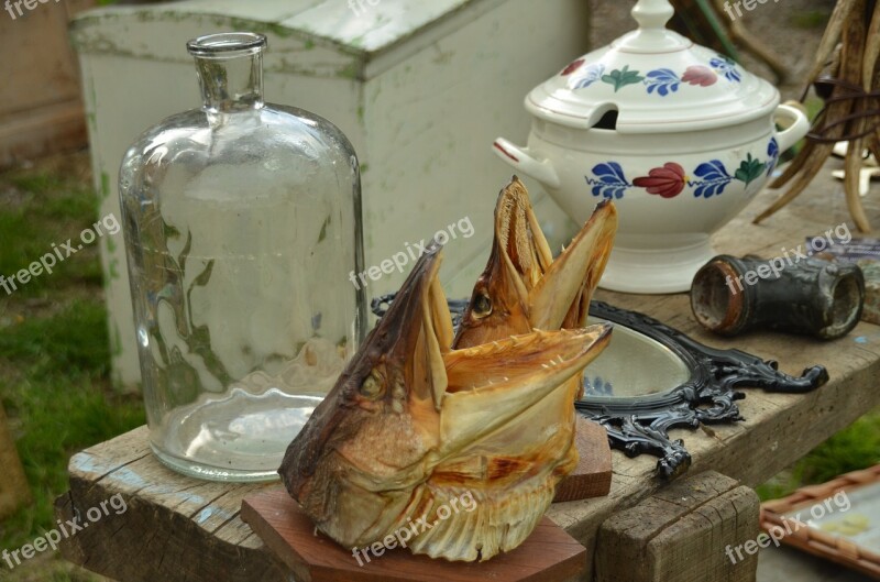 Jumble Sale Oddities Flea Market Fish Head Fish