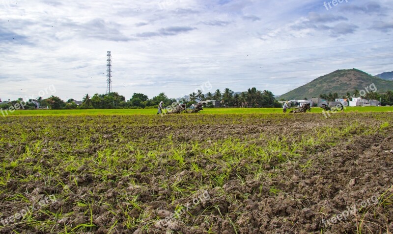 Farm Paste Plough Paddy Field Home