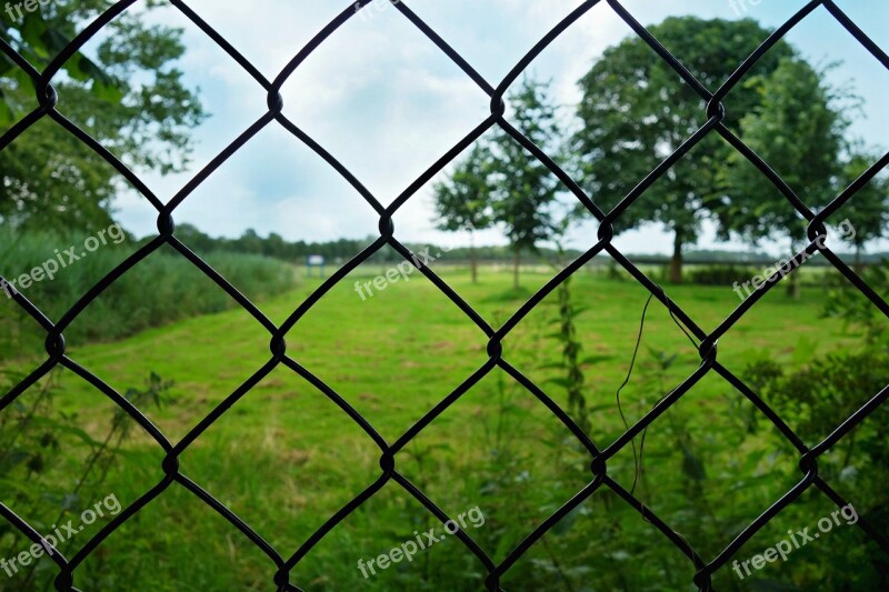 Fence Wire Mesh Wire Fence Wiremesh