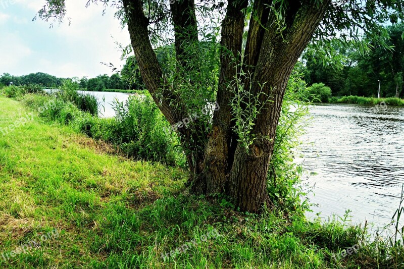 River Riverbank Tree Landscape Nature