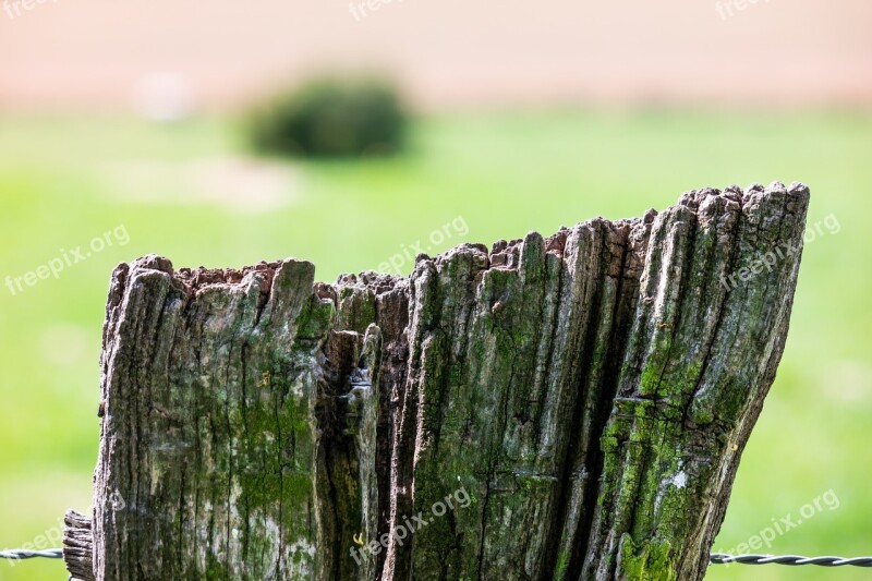 Fence Wire Pasture Meadow Pile