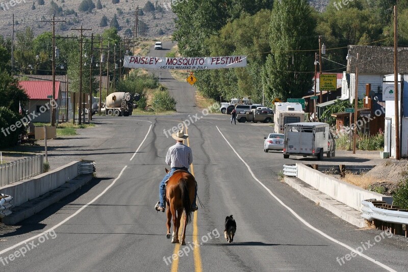 Cowboy Horserider Dog Horse Street