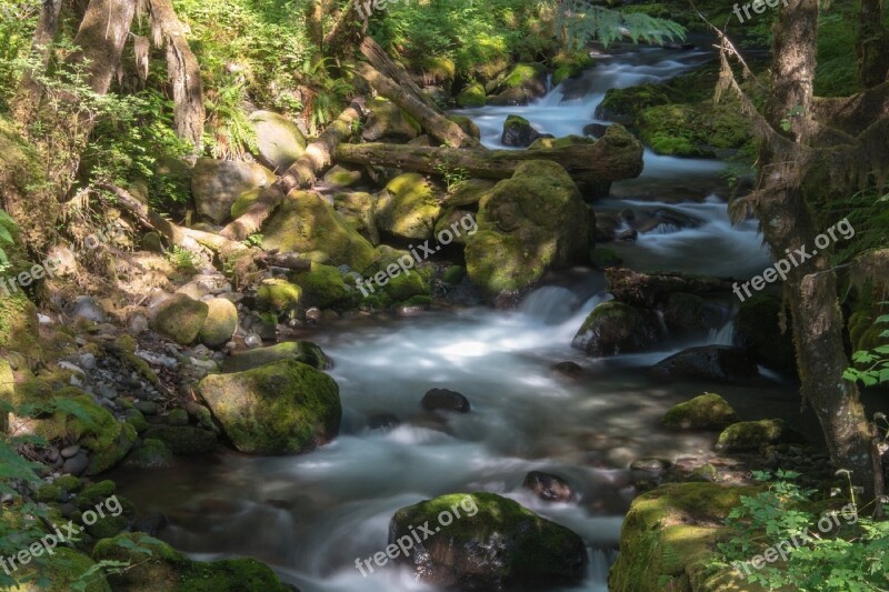 Creek Woods Wilderness Water Rocks