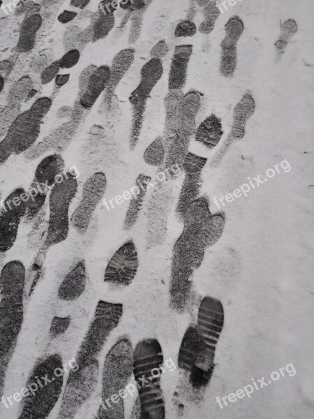 Snow Footprints Black And White Minimalist Free Photos