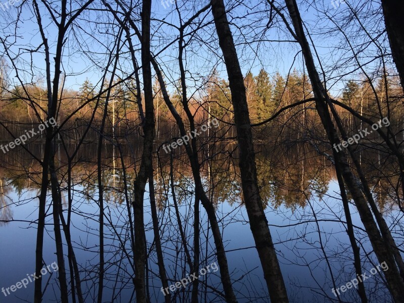 Forest Forest Lake Contrast Mirror Mirroring