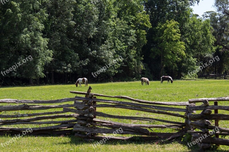 Pasture Pony Fence Lattice Horse