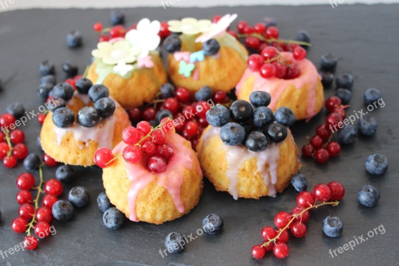 Cake Gugelhupf Fruit Bake Blueberries