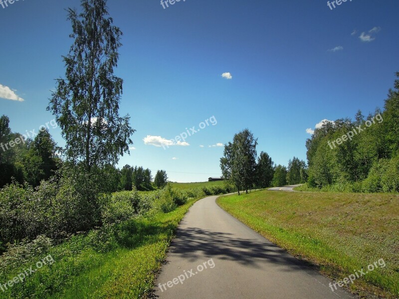 Tohmajärvi Finnish North Karelia Trees Meadow