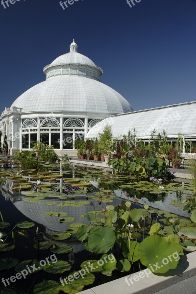 Bronx Greenhouse White Blue Pond