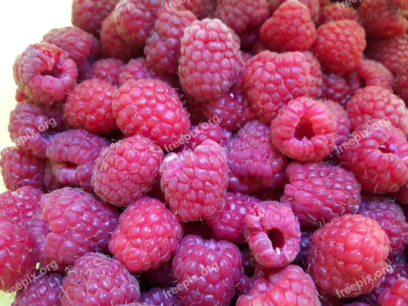 Raspberry Fruit Fruits Free Photos