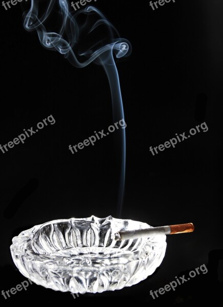 Ashtray Smoking Smoke Cigarette Unhealthy