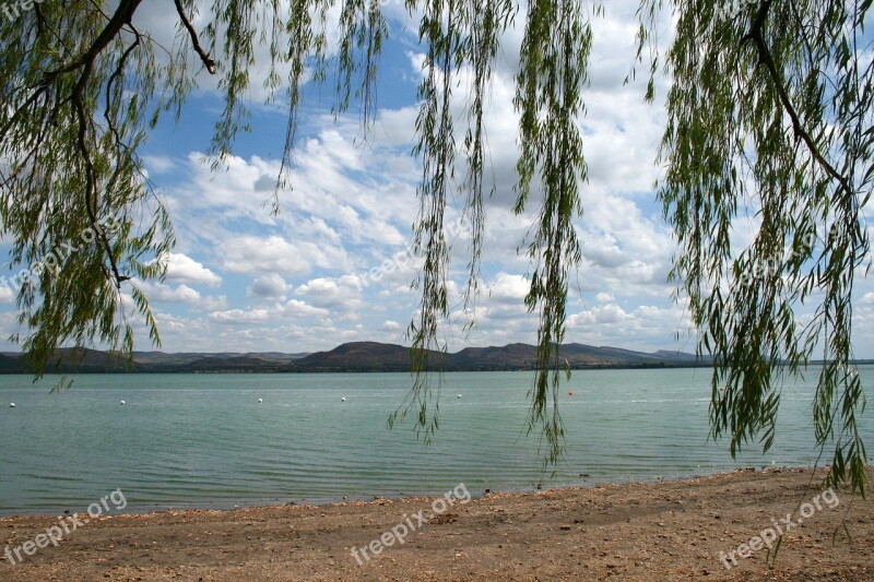 Dam Water Lake Tree Willow