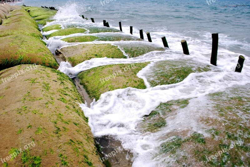 The Sea Dai Hoi Cua Dai Beach The Beautiful Sea