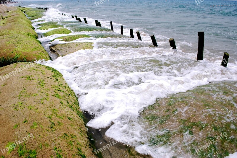 The Sea Dai Hoi Cua Dai Beach The Beautiful Sea