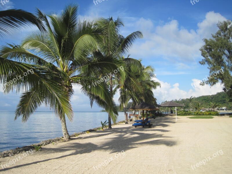 Tropical Beach The Sea Tree Island