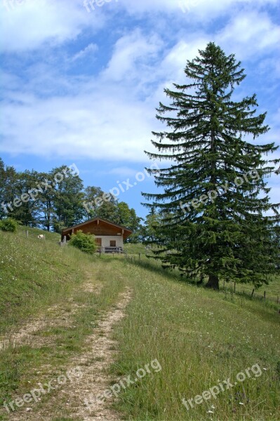 Landscape Nature Bavaria Upper Bavaria Chiemgau