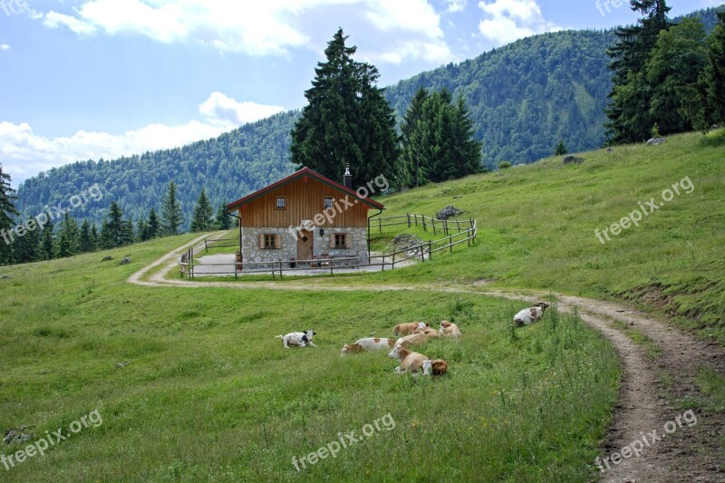 Landscape Nature Bavaria Upper Bavaria Chiemgau